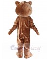 Bear mascot costume