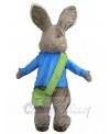 Easter Bunny Rabbit mascot costume
