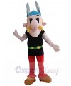 Asterix Obelix mascot costume