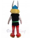 Asterix Obelix mascot costume