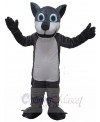 Wolf mascot costume