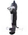 Wolf mascot costume