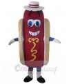 Hotdog mascot costume