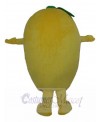 Mango mascot costume