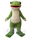 Frog mascot costume