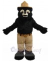 Bear mascot costume