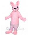 Bunny Rabbit mascot costume