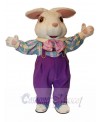 Easter Bunny Rabbit mascot costume