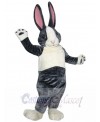 Bunny Rabbit mascot costume