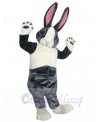 Bunny Rabbit mascot costume