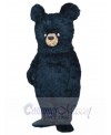 Bruce the Bear mascot costume