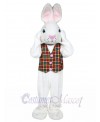 Mr. White Bunny mascot costume