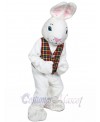 Mr. White Bunny mascot costume