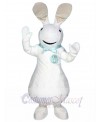 Pat the Bunny mascot costume