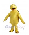 Turtle mascot costume