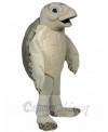 Luna The Sea Turtle mascot costume