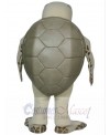 Luna The Sea Turtle mascot costume