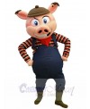Pig mascot costume
