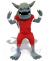 Devil mascot costume