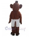 Monkey mascot costume