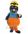 Mole mascot costume