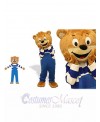 Teddy Bear mascot costume