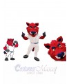 Wild Boar mascot costume