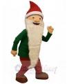 Dwarfs Elf mascot costume