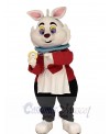 Rabbit mascot costume