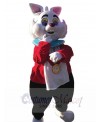 Rabbit mascot costume