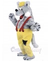 Wolf mascot costume