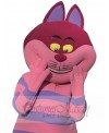 Cheshire Cat mascot costume