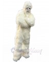 Yeti mascot costume