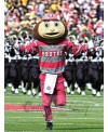 Brutus Buckeye mascot costume