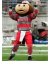 Brutus Buckeye mascot costume