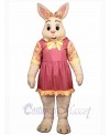 Easter Bunny Rabbit mascot costume