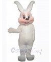 Easter Bunny Rabbit mascot costume