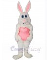 Easter Bunny Rabbit mascot costume