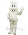 Easter Bunny Rabbit mascot costume