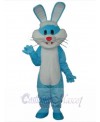 Easter Bunny Rabbit mascot costume