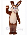 Easter Bunny Rabbit mascot costume