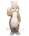 Easter Bunny Rabbit mascot costume