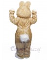 Easter Bunny Rabbit mascot costume