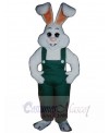 Easter Bunny Rabbit mascot costume