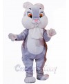 Easter Bunny Rabbit mascot costume