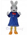 Easter Bunny Rabbit mascot costume