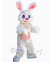 Easter Bunny Rabbit mascot costume