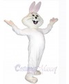 Easter Bunny Rabbit mascot costume