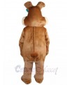 Easter Bunny Rabbit mascot costume