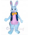 Easter Bunny Rabbit mascot costume